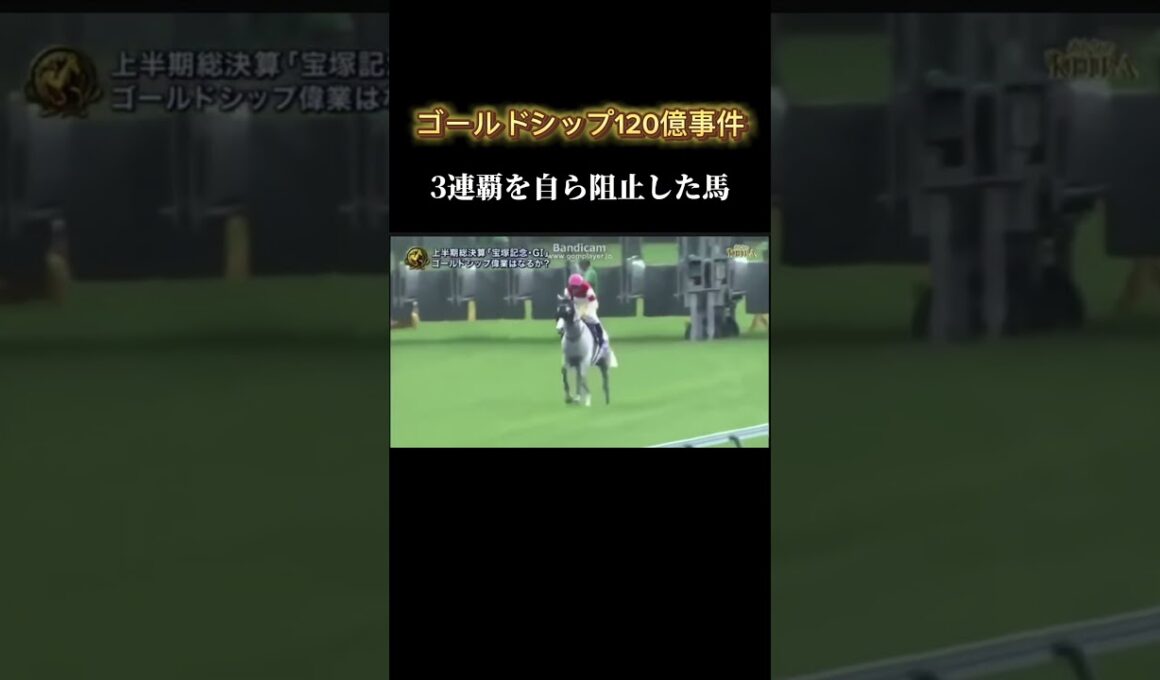 【宝塚記念GⅠ】ゲート出た瞬間終わったわ。死ぬまで忘れないレース#競馬#jra