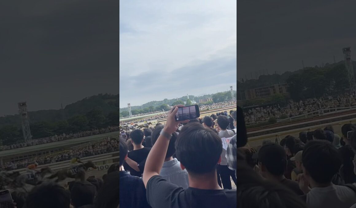 NHKマイルカップ2025#パンジャタワー