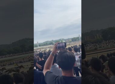 NHKマイルカップ2025#パンジャタワー