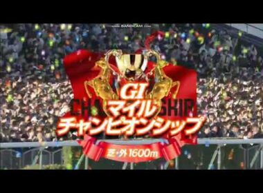 2025年 マイルチャンピオンシップ（GⅠ）ファンファーレ