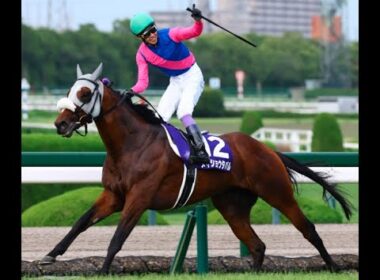 20250615 競馬ﾚｰｽﾄﾋﾟｯｸ　12【絶妙逃切り!!】'25宝塚記念 T2200 G1 メイショウタバル