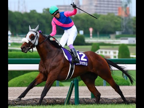 20250615 競馬ﾚｰｽﾄﾋﾟｯｸ　12【絶妙逃切り!!】'25宝塚記念 T2200 G1 メイショウタバル