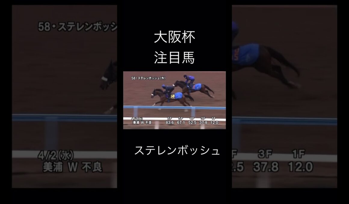 競馬　大阪杯　注目馬　ステレンボッシュ　　　　　　　　　　　　　　#jra #競馬 #大阪杯 #競馬#ステレンボッシュ #モレイラ