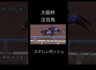 競馬　大阪杯　注目馬　ステレンボッシュ　　　　　　　　　　　　　　#jra #競馬 #大阪杯 #競馬#ステレンボッシュ #モレイラ