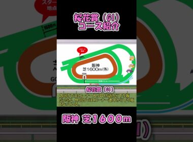 桜花賞コース紹介