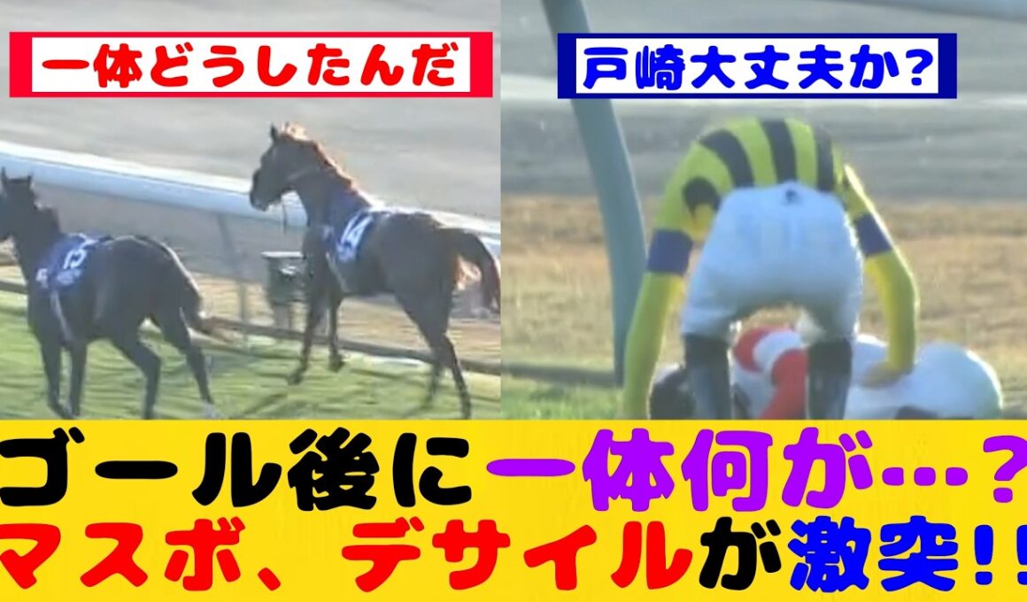 【競馬の反応集】マスカレードボールとダノンデサイルがジャパンカップレース後に激突した事が話題に！！