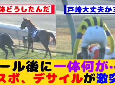【競馬の反応集】マスカレードボールとダノンデサイルがジャパンカップレース後に激突した事が話題に！！