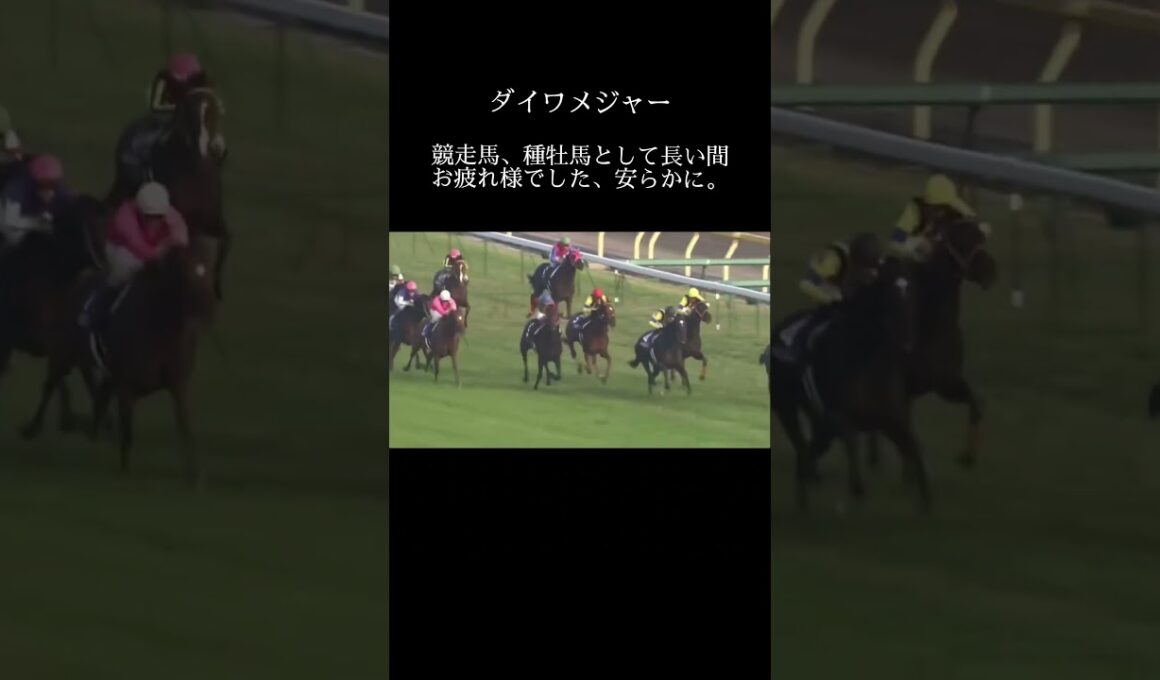 【2006年の天皇賞秋】今でも鮮明に覚えてるレース#競馬#馬#ギャンブル