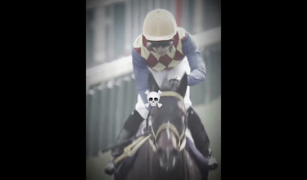 テーオーロイヤル天皇賞・春