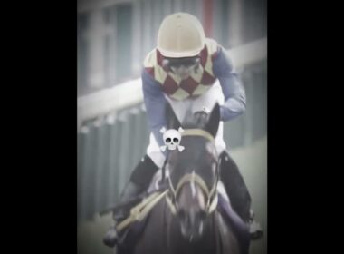 テーオーロイヤル天皇賞・春