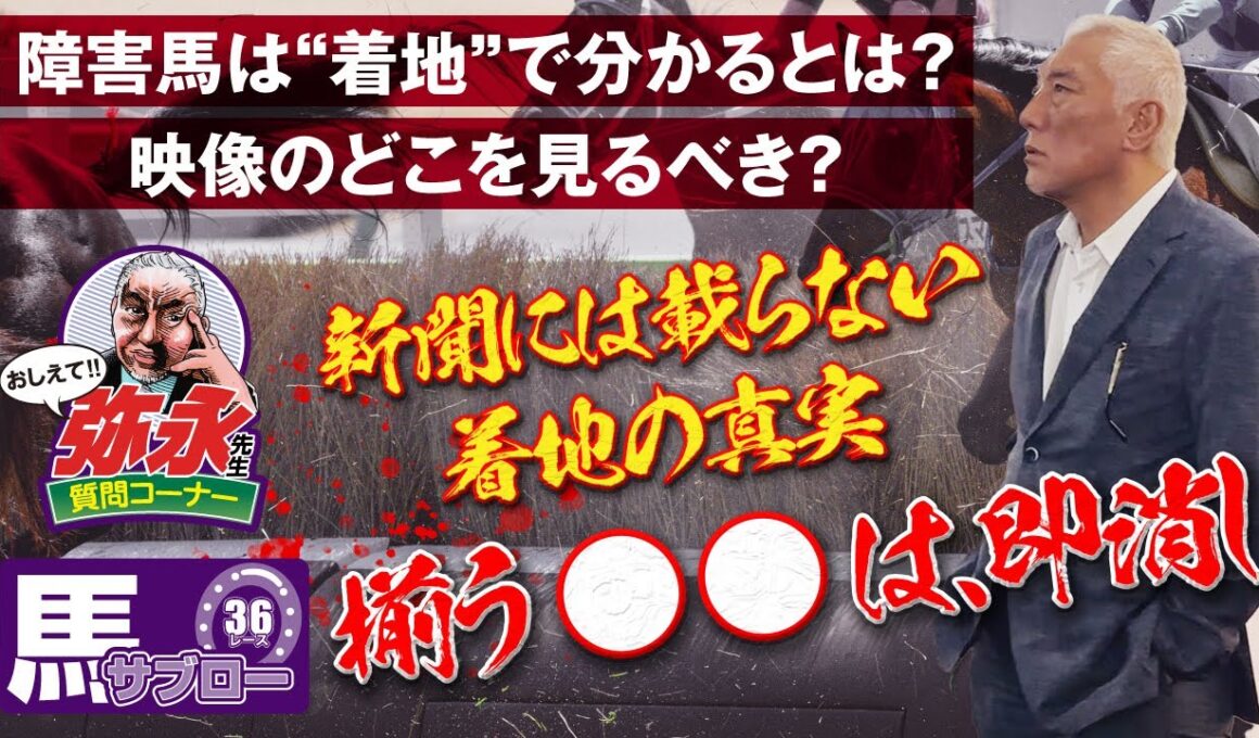 おしえて!! 弥永先生 〜障害馬は“着地”で分かるとは？映像での見所は？〜