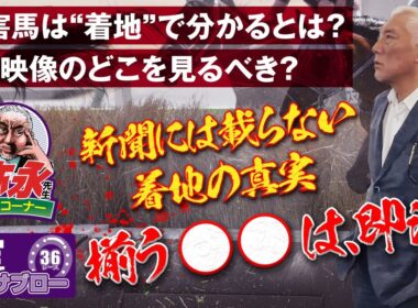 おしえて!! 弥永先生 〜障害馬は“着地”で分かるとは？映像での見所は？〜