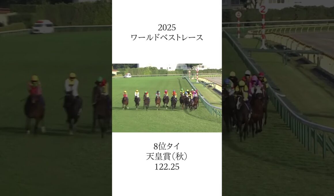 2025 ワールドベストレース  #競馬 #g1 #ジャパンカップ #天皇賞（秋） #有馬記念 #皐月賞