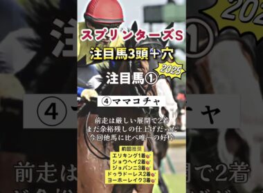 #スプリンターズステークス #スプリンターズs #shorts