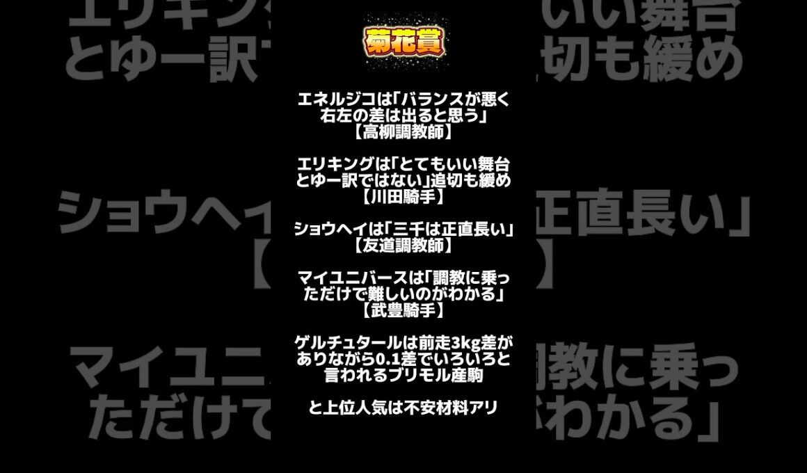 【菊花賞 2025予想❣️】秋競馬全然的中してない親父馬券 #競馬