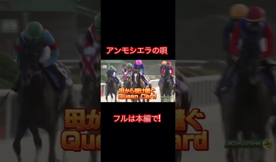 『アンモシエラの歌』#アンモシエラ #競馬 #horse #フェブラリーステークス #競馬予想  #競馬好き　#horseracing  #坂井瑠星　#横山武史　#松山弘平　#松永幹夫