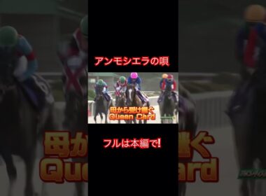 『アンモシエラの歌』#アンモシエラ #競馬 #horse #フェブラリーステークス #競馬予想  #競馬好き　#horseracing  #坂井瑠星　#横山武史　#松山弘平　#松永幹夫