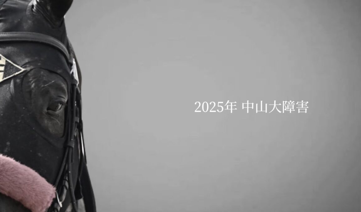 エコロデュエル 中山大障害 JRA CM風