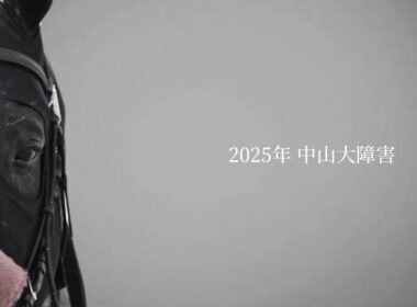 エコロデュエル 中山大障害 JRA CM風