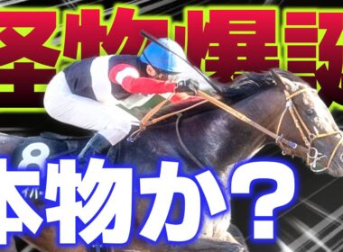 【怪物爆誕？】クロフネの記録を超えた異才、その正体