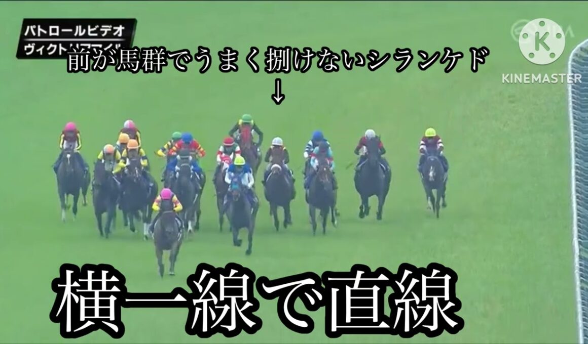 ヴィクトリアマイルパトロールビデオ見解