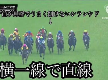 ヴィクトリアマイルパトロールビデオ見解