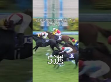 「電撃の6ハロン」高松宮記念に出てくる怪物たち #競馬 #高松宮記念