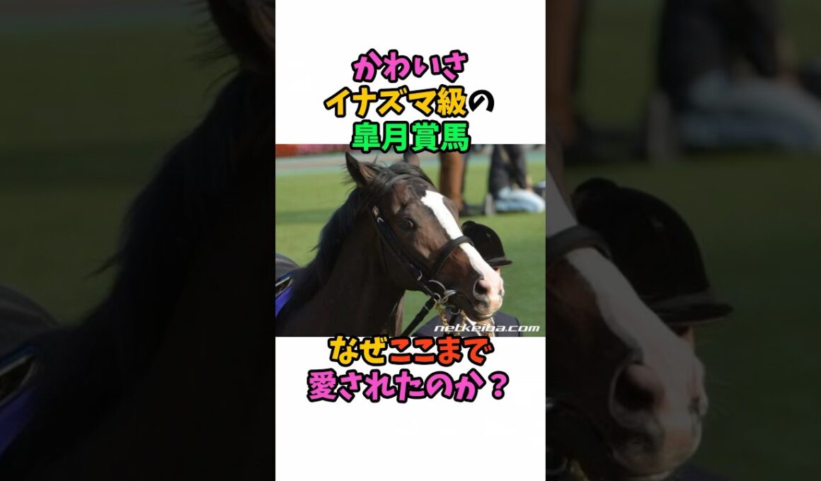 かわいさイナズマ級の皐月賞馬なぜここまで愛されたのか？#競馬 #horse