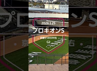 【プロキオンS 2026】上位5頭予想！フェブラリーステークスの前哨戦、プロキオンステークスの開催です。