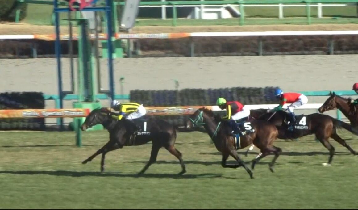 【若竹賞2026】現地レース映像｜皐月賞トライアルやダービートライアルへの出走を確実にするべく賞金加算を狙った素質馬たちの一戦を完全収録！