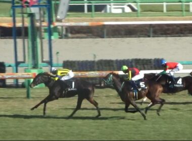 【若竹賞2026】現地レース映像｜皐月賞トライアルやダービートライアルへの出走を確実にするべく賞金加算を狙った素質馬たちの一戦を完全収録！