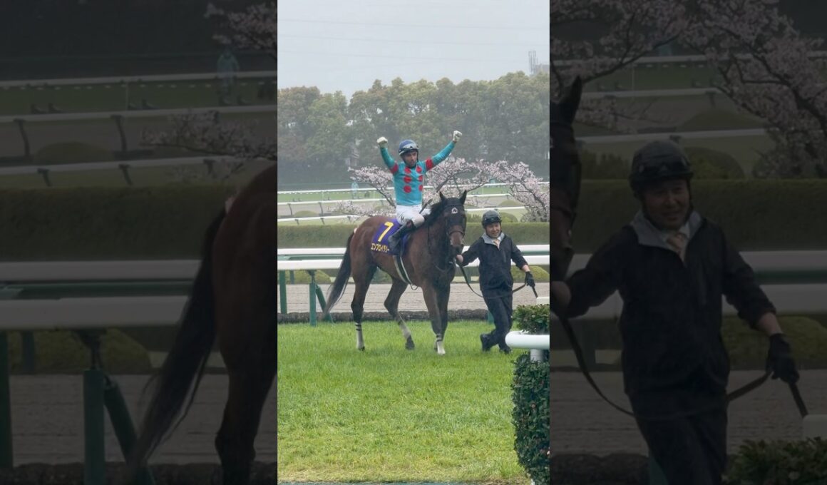 モレイラ騎手 エンブロイダリー 第85回桜花賞(GI)優勝