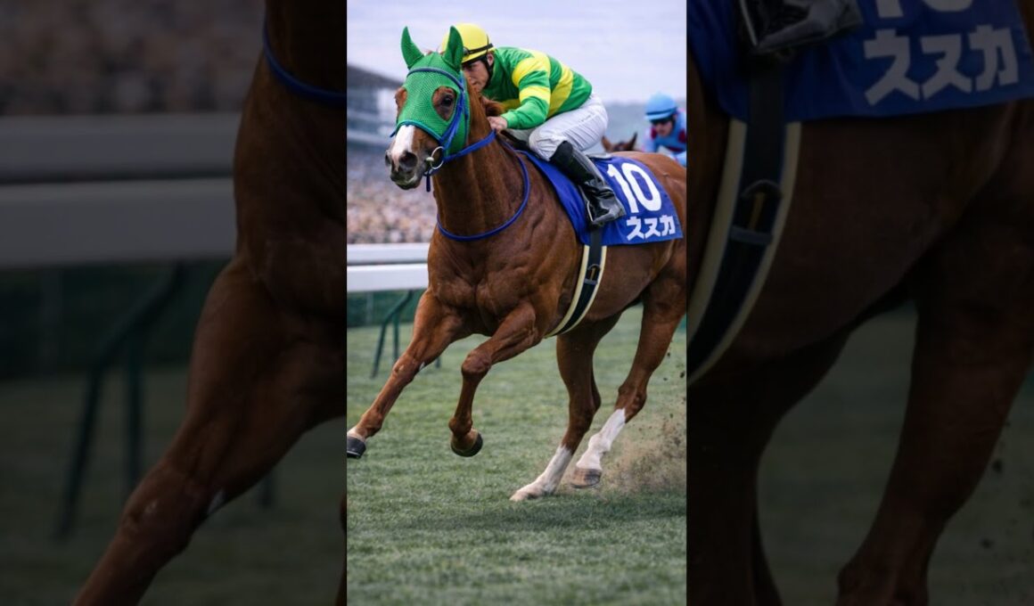 サイレンススズカ｜宝塚記念、頂点へ【第8話】#サイレンススズカ#宝塚記念#G1#競馬ドキュメンタリー#名馬#競馬史#JRA#競走馬 #競馬