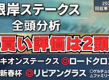 【根岸S2026】フェブラリーSに繋がる1戦！買い評価はアノ2頭◎【全頭分析】