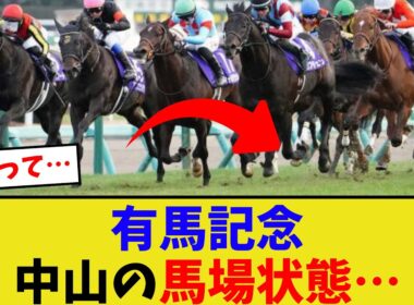有馬記念、今の中山の馬場状態…【競馬反応集】