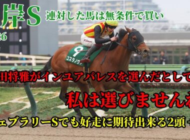 根岸ステークス 2026 フェブラリーステークスを予想する上では絶対に外せない根岸S インユアパレス大丈夫か？！ フェブラリーステークスも好走に期待出来る2頭+二桁人気の除外対象馬1頭