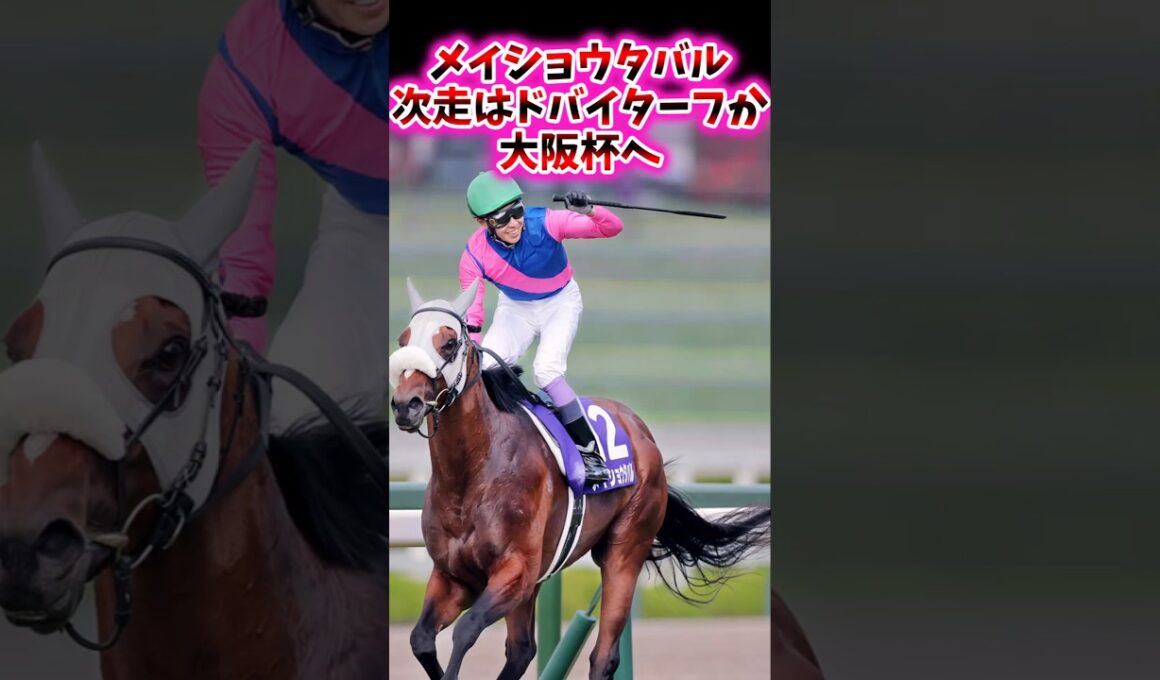 メイショウタバル次走はドバイターフか大阪杯へ【競馬反応集】#武豊　#メイショウタバル　#大阪杯