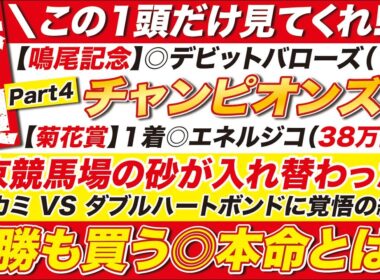 🎯鳴尾記念に続け！→【チャンピオンズカップ2025予想】中京競馬場の砂が入れ替わった？ナルカミ VS ダブルハートボンドに覚悟の結論！単勝も買う◎本命とは？