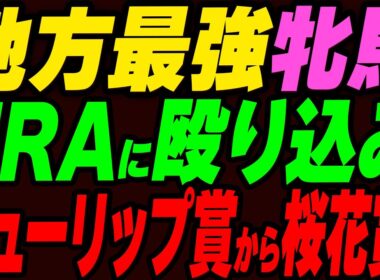 地方最強牝馬がJRAに殴り込み！チューリップ賞から桜花賞へ