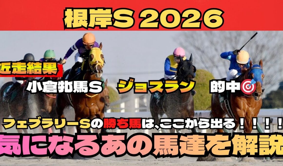 【根岸S2026】フェブラリーSの勝ち馬は、ここから出る！！！note平場予想絶好調です！詳細は概要欄から！！