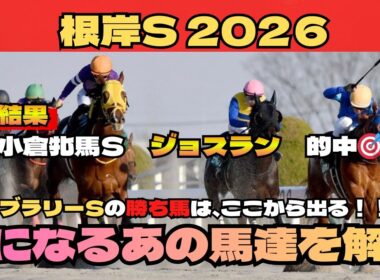 【根岸S2026】フェブラリーSの勝ち馬は、ここから出る！！！note平場予想絶好調です！詳細は概要欄から！！