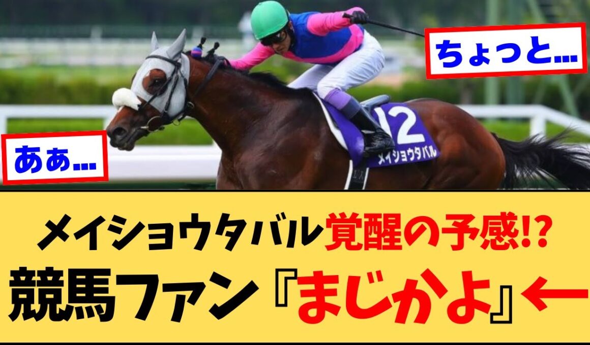 有馬記念へ向けて宝塚を逃げ切ったメイショウタバル、完全覚醒の予感に対するファンの反応【競馬】【2ch 5ch】