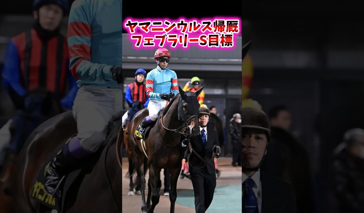 ヤマニンウルス帰厩目標はフェブラリーS【競馬反応集】#フェブラリーS　#ヤマニンウルス　#武豊