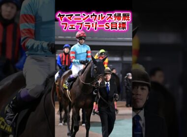ヤマニンウルス帰厩目標はフェブラリーS【競馬反応集】#フェブラリーS　#ヤマニンウルス　#武豊