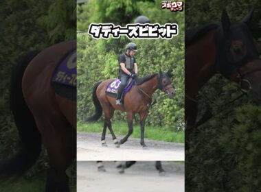 【安田記念出走予定】 ダディーズビビッド　栗東での様子 #shorts