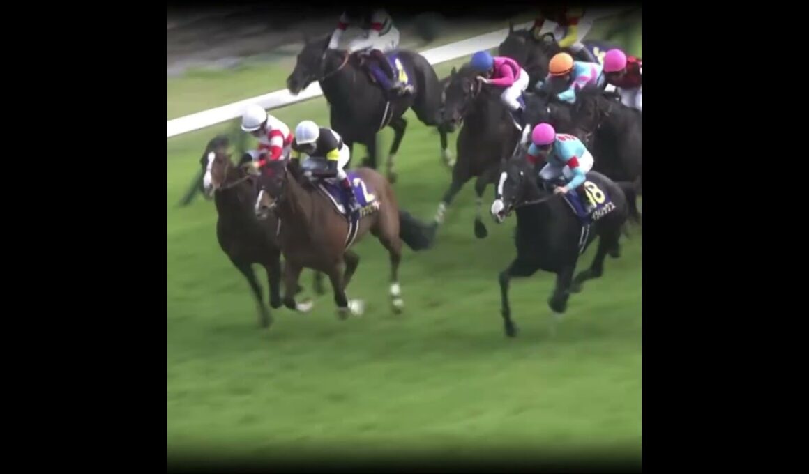 世界最強馬と衝撃の末脚に勝った馬 #競馬 #皐月賞 #ドウデュース #イクイノックス#ジオグリフ