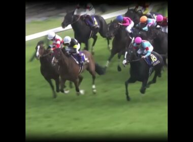 世界最強馬と衝撃の末脚に勝った馬 #競馬 #皐月賞 #ドウデュース #イクイノックス#ジオグリフ