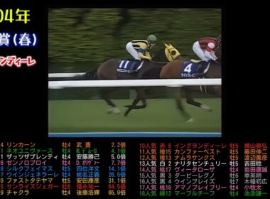 2004年天皇賞(春)　イングランディーレ　#ネオユニヴァース#ゼンノロブロイ#リンカーン#ザッツザプレンティ#ウマ娘#競馬#競走馬#馬#horse#武豊#jra