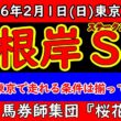 根岸ステークス2026最終予想｜東京実績だけでは足りない理由。今年の馬場と配置のズレ