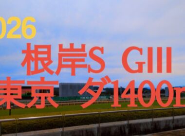 【根岸ステークス  2026】フェブラリーSの前哨戦に地方馬3頭含む16頭‼︎東京開幕週のダート重賞を制するのは⁉︎OPクラス連勝で勢いに乗るインユアパレスは確勝級か⁇  競馬予想チャンネル